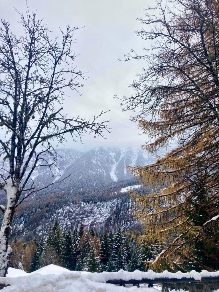 Appartamento Sulle Piste Folgarida Exterior foto